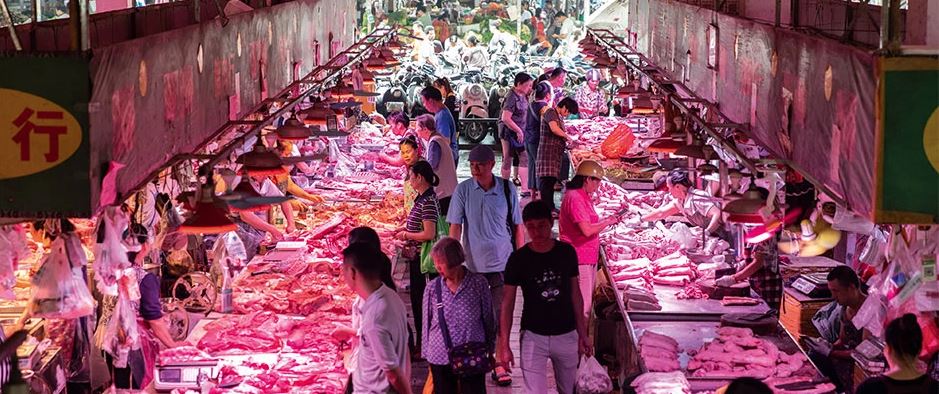 Coronavirus existencial